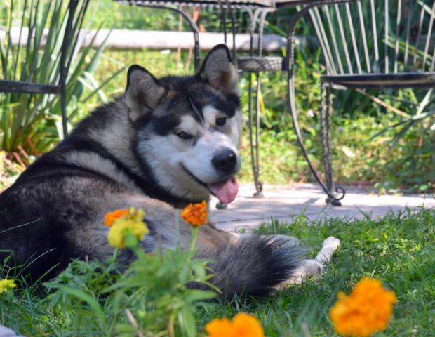 DSC_4518.JPG