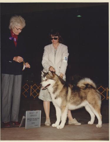 SCAN0005.JPG