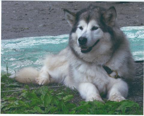 SCAN0008_5995.JPG