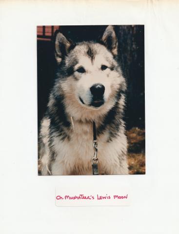 SCAN0009.JPG
