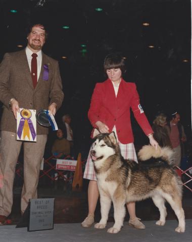 SCAN0011.JPG