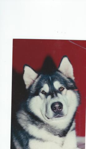 SCAN0013.JPG