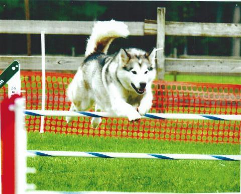 SCAN0015-001_8058.JPG