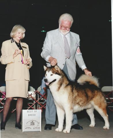 SCAN0026.JPG