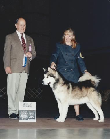 SCAN0028.JPG