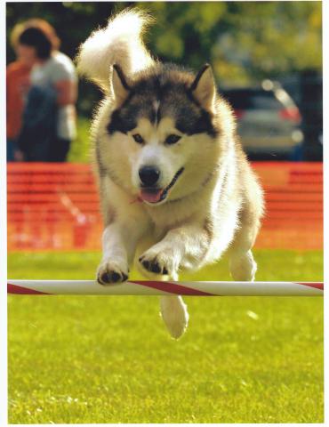 SCAN0037.JPG