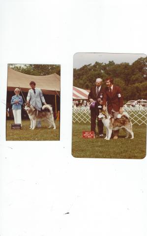 SCAN0100.JPG