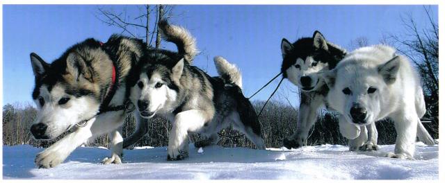 yukon_noel_kalei_004.jpg